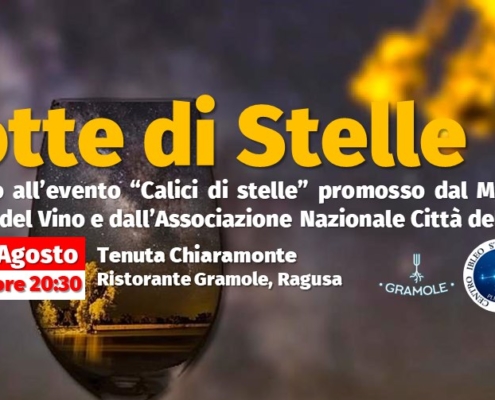notte di stelle 2019