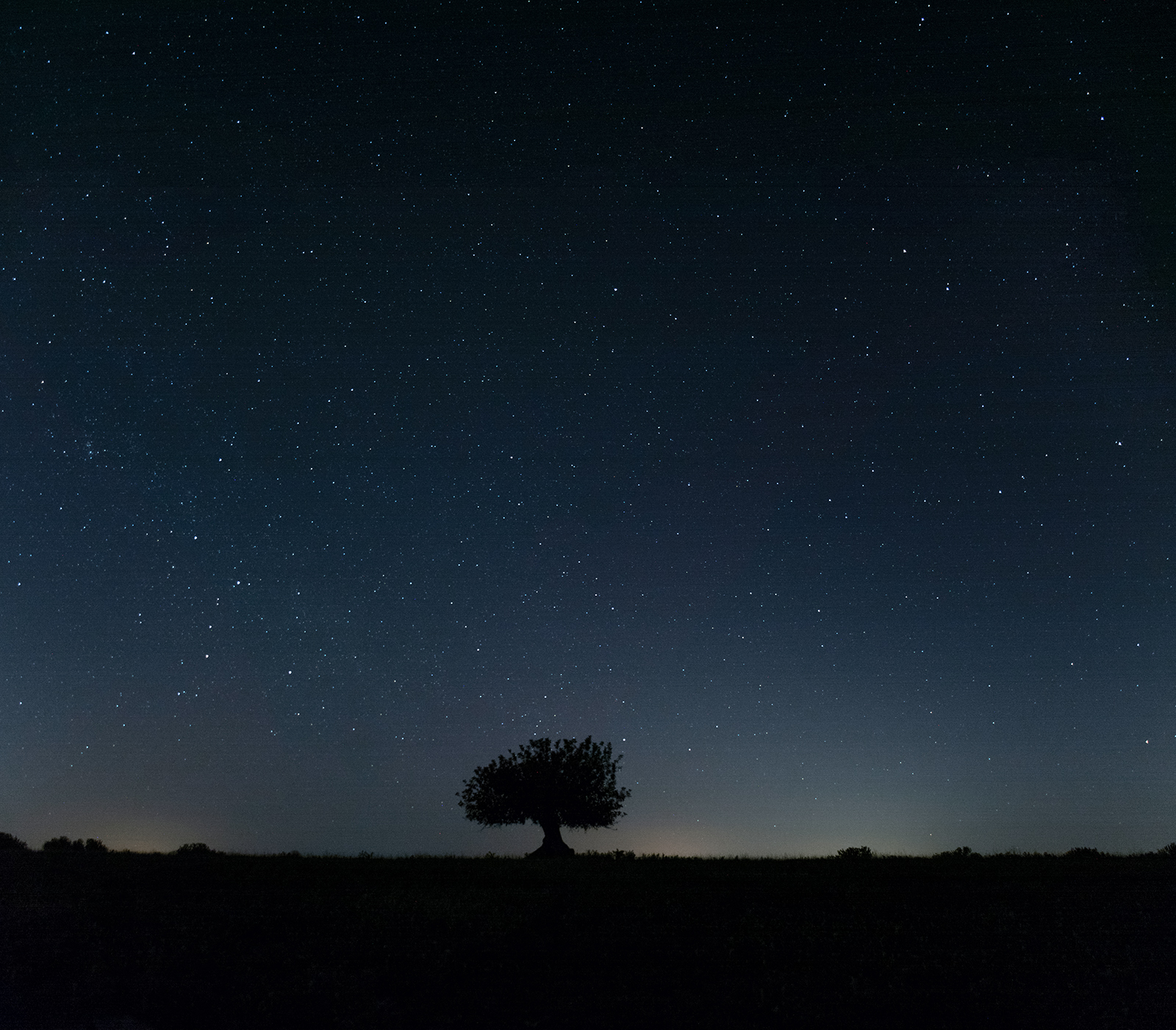 Il valore del buio della notte - CISA - Centro Ibleo Studi Astronomici